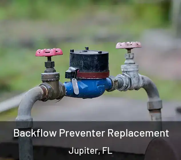  Backflow Preventer Replacement Jupiter, FL