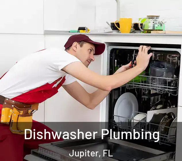  Dishwasher Plumbing Jupiter, FL