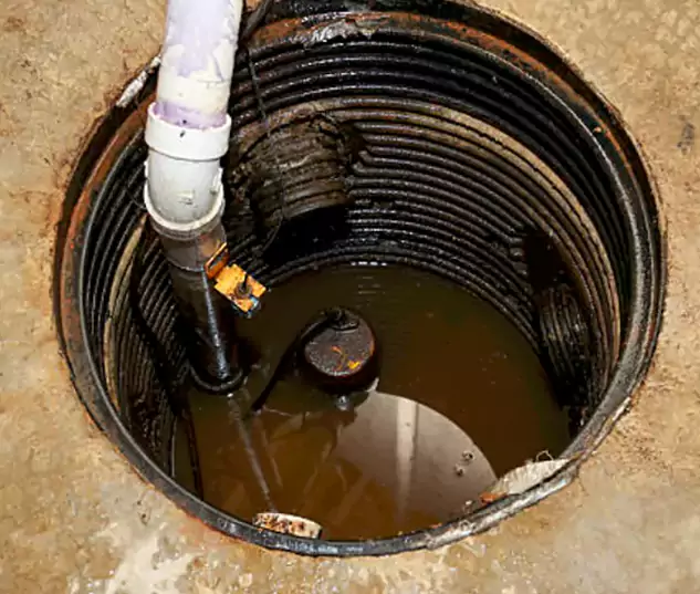 Meet Our Local Jupiter, FL Plumbing Team