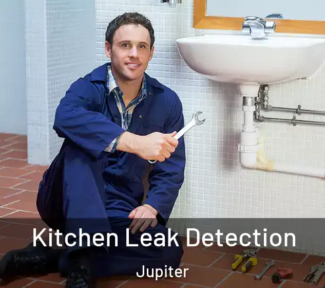  Kitchen Leak Detection Jupiter
