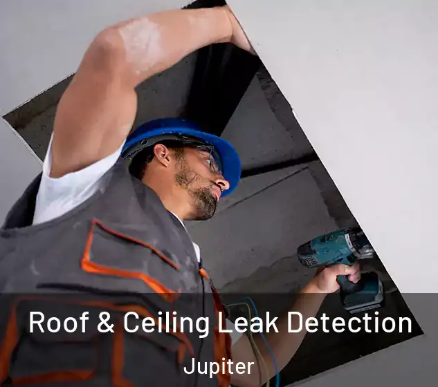  Roof & Ceiling Leak Detection Jupiter